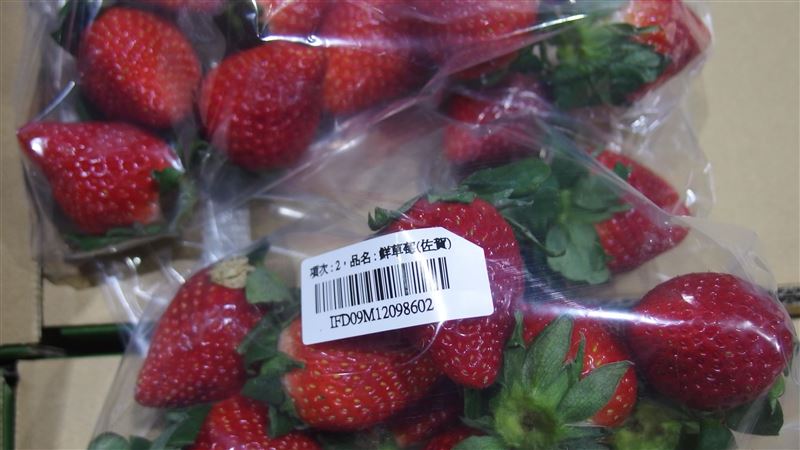 3款日本草莓違規　食藥署邊境攔截