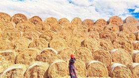 名家專用／台灣旅行趣（勿用）