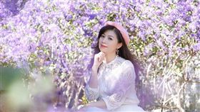 名家專用／台灣旅行趣（勿用）