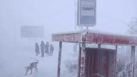 攝氏-51℃　小朋友差1度還要上學
