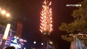 V柯Ｐ老實樹2400