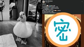 新粉專相繼PO出寵物鴨黑白照，和薑母鴨鍋當配圖。（圖／翻攝自臉書）