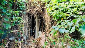 新竹　廢墟（圖／翻攝畫面）