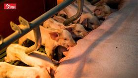 名家專用／今周刊（勿用）