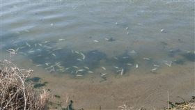 台南農業局加強寒害災損通報台南市農業局表示，6日邀集沿海地區各區公所人員討論加速受理漁民通報災損辦理及現地查報作業程序，以利加速彙整災損情形，向農委會建議災害救助，並要求各區公所加強向漁民宣導，如有寒害漁損要儘速向公所通報，可加快累積全市災損量達到救助標準。（台南市農業局提供）中央社記者楊思瑞台南傳真  110年1月6日