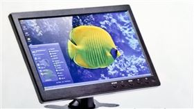 土佐在中國網站上看到只要2500日圓的電腦螢幕。（圖／翻攝自MaywaDenki推特）