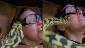 我是名人,實境秀,懲罰,澳洲版,蛇,女星,關頭,攻擊