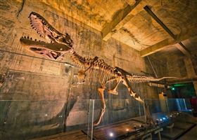 「Robert-Y瘋狂夢想博物館」由廠房改造，有上百件藝術品展出。（圖／網友提供）