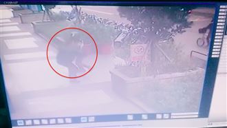 熊貓「支援」吳柏毅　暴打社區管理員