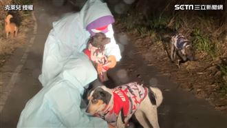 憂浪浪捱不過寒流　愛媽幫穿衣暖哭