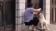 汪無奈狂被嬤餵食　網笑：做鵝肝醬？