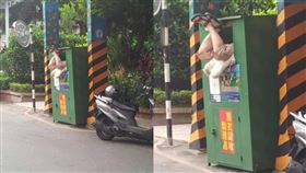 「新．路上觀察學院」臉書社團