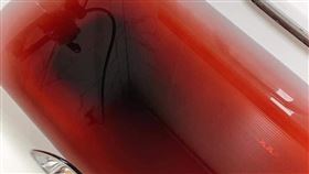 浴缸血紅一片變命案現場　兇手網看傻（圖／翻攝自爆廢公社公開版臉書）