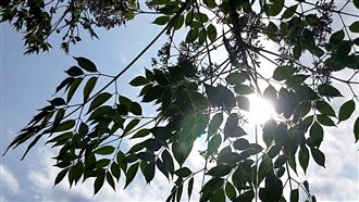 至少要冷半個月！這天回暖3天陽光現