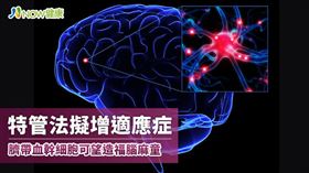 名家專用／NOW健康／隨著再生醫學發展，國際間已有多項臨床結果證實，臍帶血移植對於治療腦麻兒童的安全性與有效性。(勿用)