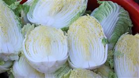 寒冷的冬季，正是蔬菜多汁甘甜的季節，尤其大白菜的滋味更是一絕。（圖／翻攝自免費圖庫pixabay）