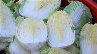 大白菜有黑點能吃嗎？出現1情況千萬別吃