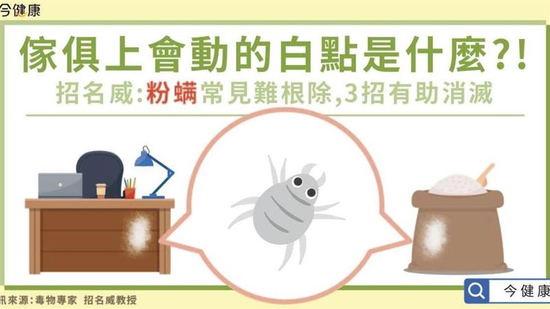 粉螨常見卻難根除　專家：3招助消滅