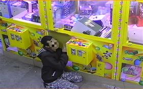 新北市，五股，娃娃機，索隆公仔