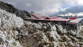 嘉明湖步道結霜羽（1）寒流來襲，嘉明湖步道因溼度不夠未降雪，不過樹上結上一層厚厚的霜羽，雪白的山頭一樣美麗。（嘉明湖熊出沒企業社提供）中央社記者盧太城台東傳真  110年1月9日