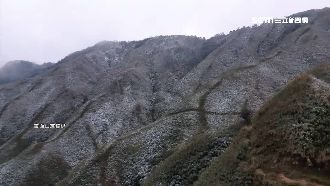 宜蘭美呆　抹茶山下雪如「抹茶蛋糕」