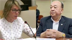 美駐聯大使、吳斯懷（組合圖／翻攝自美駐聯大使推特、吳斯懷臉書）