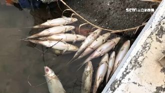 虱目魚、蓮霧難擋低溫　寒害災情慘重