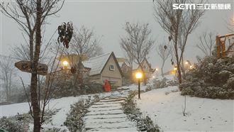 多圖／秒飛北國！太平山積雪15公分