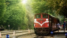 台灣阿里山森林鐵路為亞洲地區海拔最高的窄軌鐵路，走過百年歲月的阿里山林鐵，是台灣人記憶深刻的觀光景點。（圖／雄獅提供）