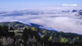 太陽露臉追雪不成　合歡山出大景美翻