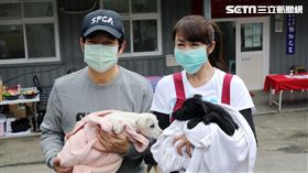 賴清德至新北市瑞芳區動物之家擔任志工及拍攝宣導影片。（圖／總統府提供）