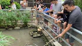 大雅赤腳ㄚ農莊、虐待動物、網友罵、釣青蛙、餵山羊、違法。（圖／翻攝自赤腳丫農莊臉書）