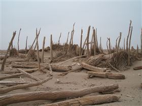 樓蘭古國消失的原因眾說紛紜。圖為示意圖（圖／翻攝自維基百科）