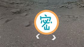 南極一處雪山山谷中，竟出現神祕巨型生物的骸骨。（圖／翻攝自Google地球） 