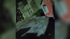 阿鬧,高雄,左營,直播主,四腳獸,合群新村