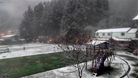 新竹縣尖石鄉後山今晨又下雪。（圖／翻攝畫面）
