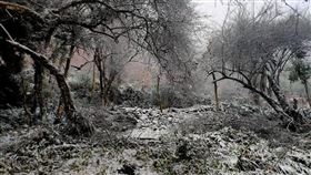 新竹縣尖石鄉後山今晨又下雪。（圖／翻攝畫面）