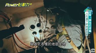 台電鑽地忍者龜　大高雄人孔蓋下世界