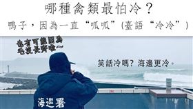 海巡署，冷笑話，海上有多冷(圖／翻攝自臉書海巡署長室 Coast Guard)