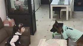 糯米提醒小主人該寫作業了，但女童不為所動。（圖／翻攝自時間視頻）