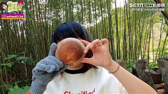 一日種植體驗　採到比臉還要大的香菇