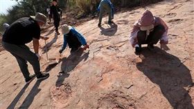 山坡見恐龍腳印！一挖浮出240枚　專家驚：距今8千萬年▲。（圖／翻攝自瀟湘晨報）