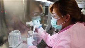 武漢肺炎篩檢怎麼做？醫檢師一次說分明（圖／台北醫院提供）