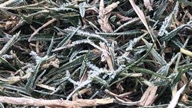 金門氣象站表示，受到寒流與輻射冷卻影響，金門13日清晨最低溫只有攝氏3.9度。多數地區出現結霜現象。（金門氣象站提供）中央社 110年1月13日