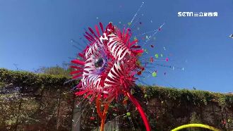 疫情如蔓延社區感染！台灣燈會恐停辦