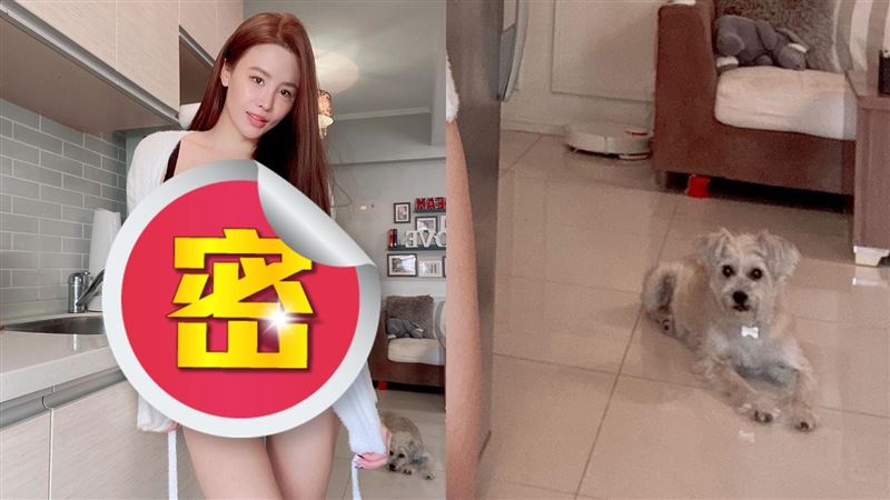正妹在家自拍穿太辣　愛犬看呆瞪大眼