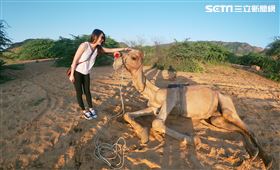印度秘境／滿天星空下的荒漠露營