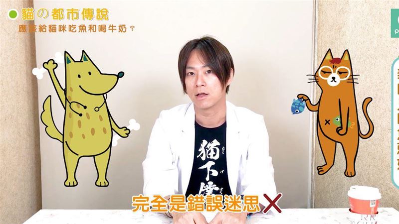 應該給貓咪吃魚和喝牛奶？