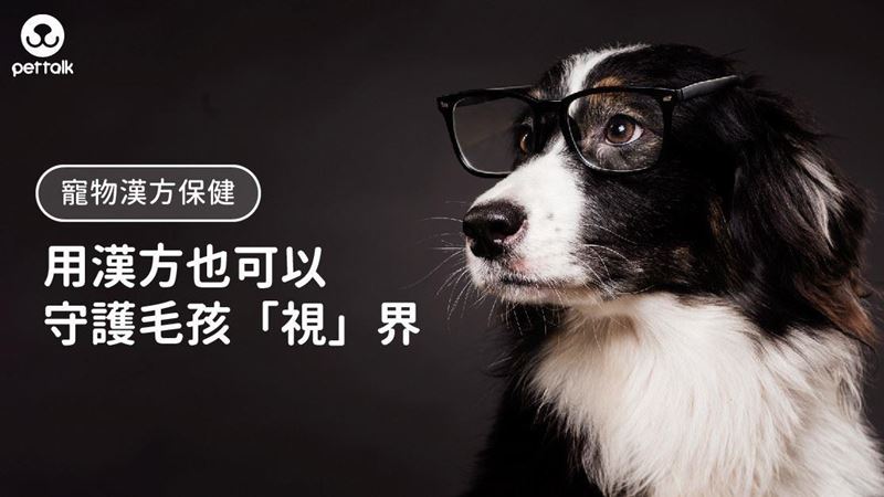 原來這些成分可以守護毛孩「視」界！