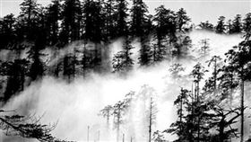 ▲瓦屋山迷魂氹（圖／翻攝自百度百科） 
